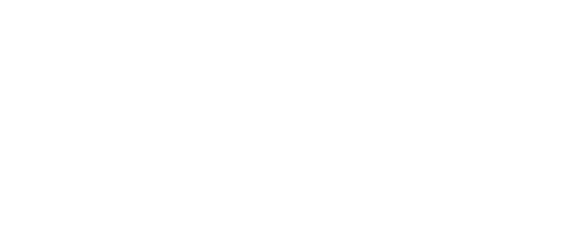 Logotipo de la página web de Nel González